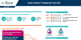 Road freight transport sector