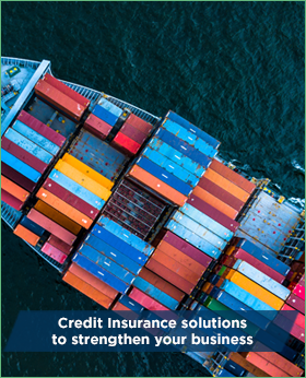 Credit Insurance solutions to strengthen your business