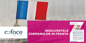 Insolventele companiilor in Franta: microintreprinderile, la baza valului
