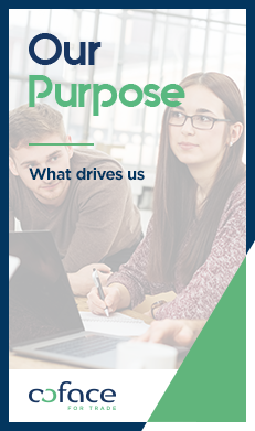 Our purpose: what drives us