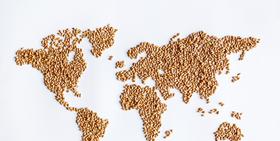 Analiza sectorului agroalimentar: ce rezerva viitorul intr-o economie globala marcata de tensiuni protectioniste?