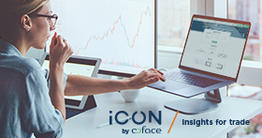 Company information at a click - InfoIcon