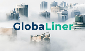 GlobaLiner: managementul riscului de credit comercial pentru multinationale